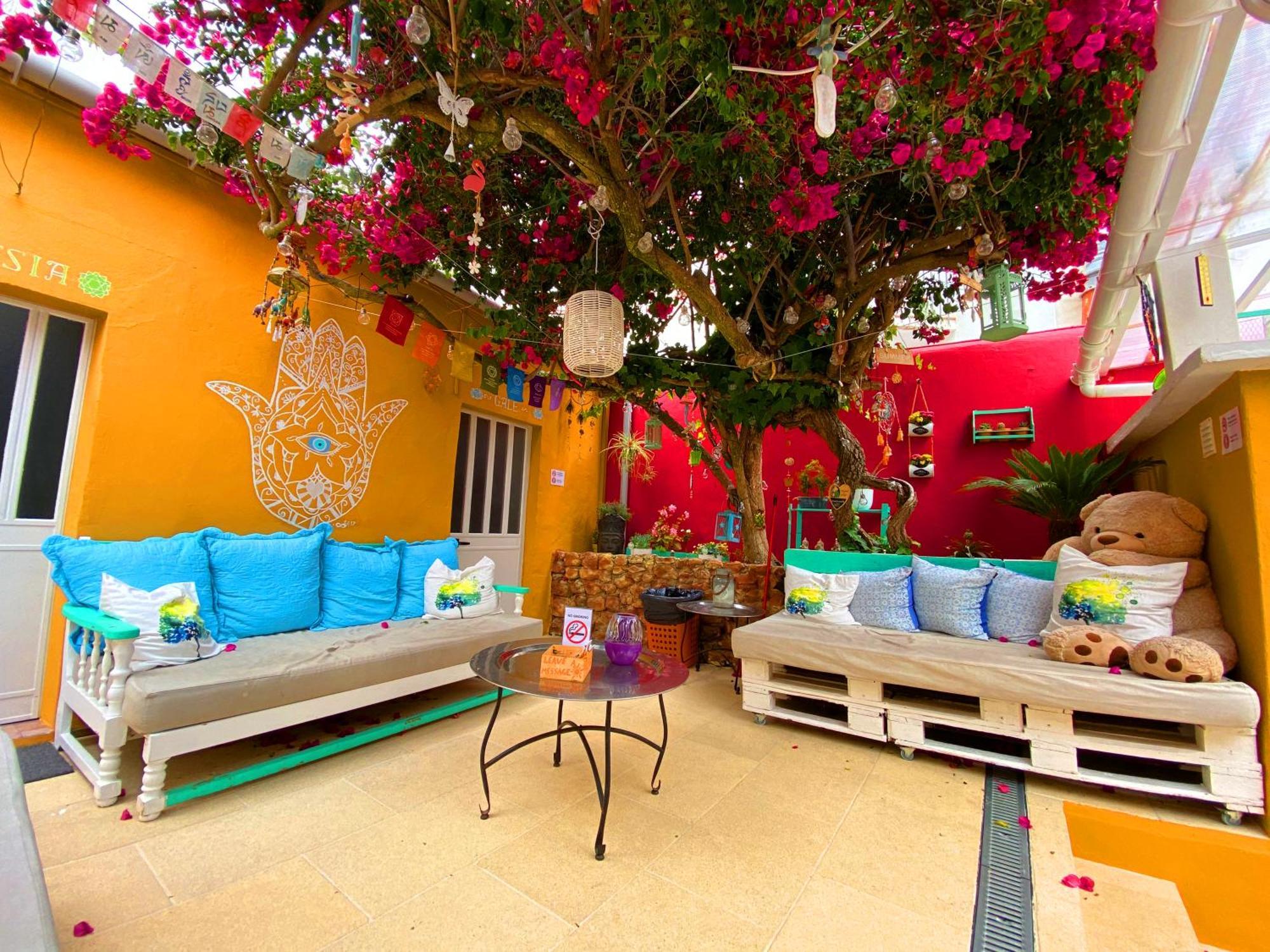 Orange Terrace Hostel 알부페이라 외부 사진